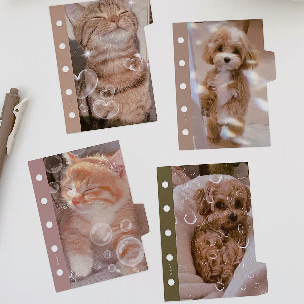 Paw & Whisker Moments Dividers_M5