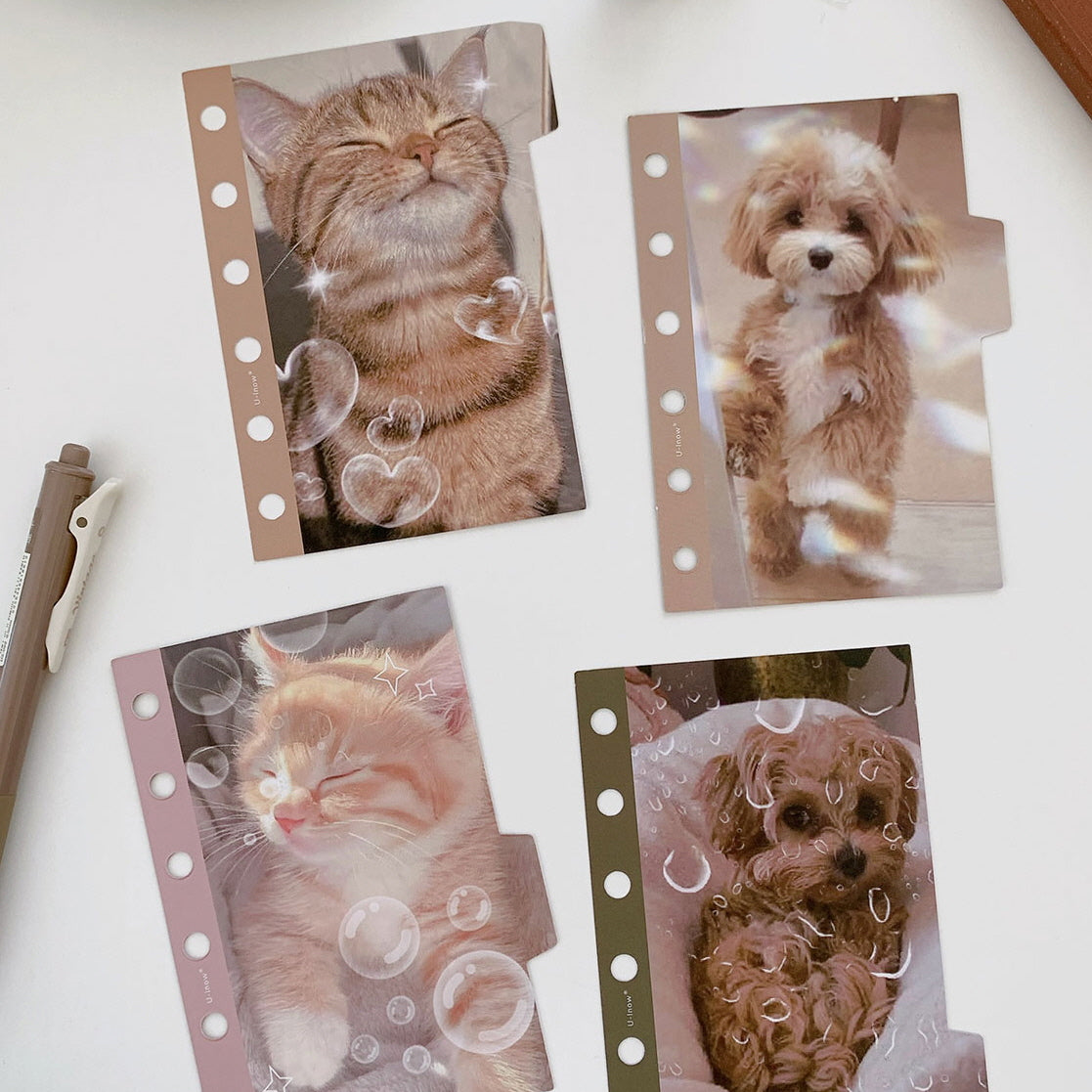 Paw & Whisker Moments Dividers_A7
