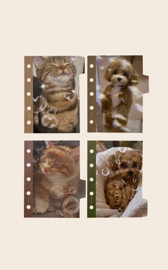Paw & Whisker Moments Dividers_M5