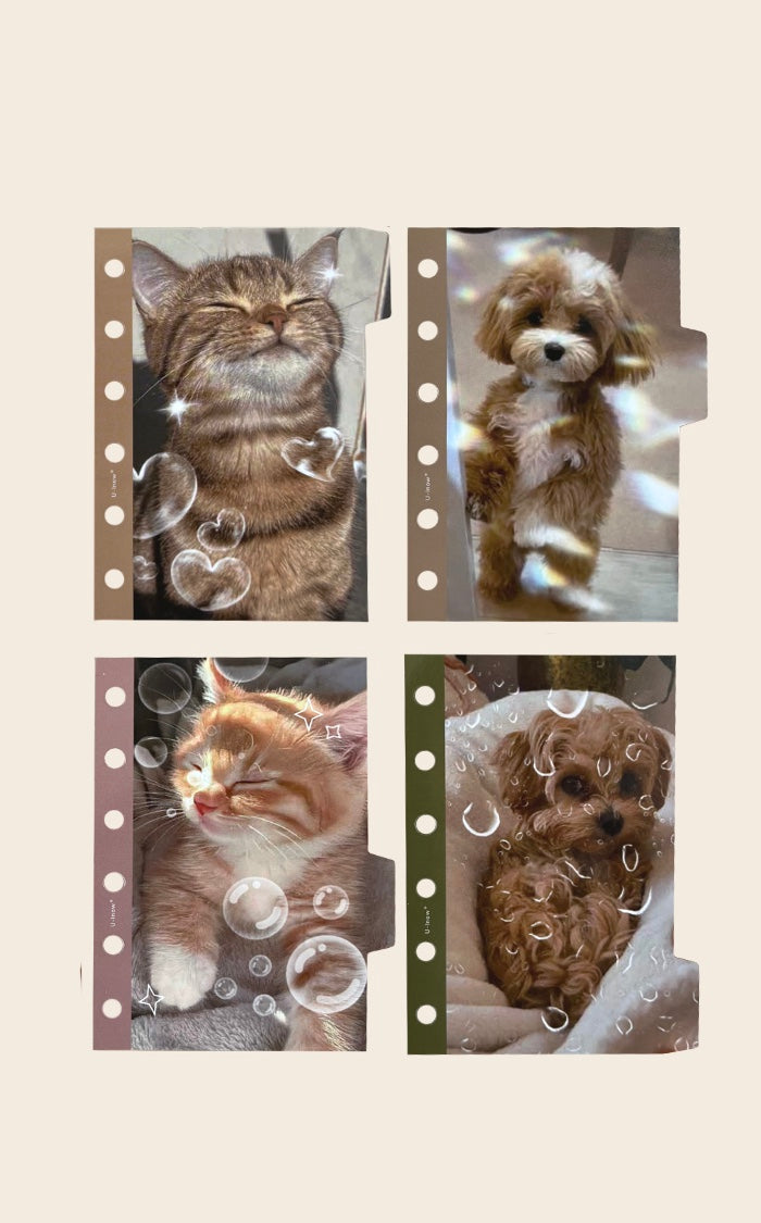 Paw & Whisker Moments Dividers_A7