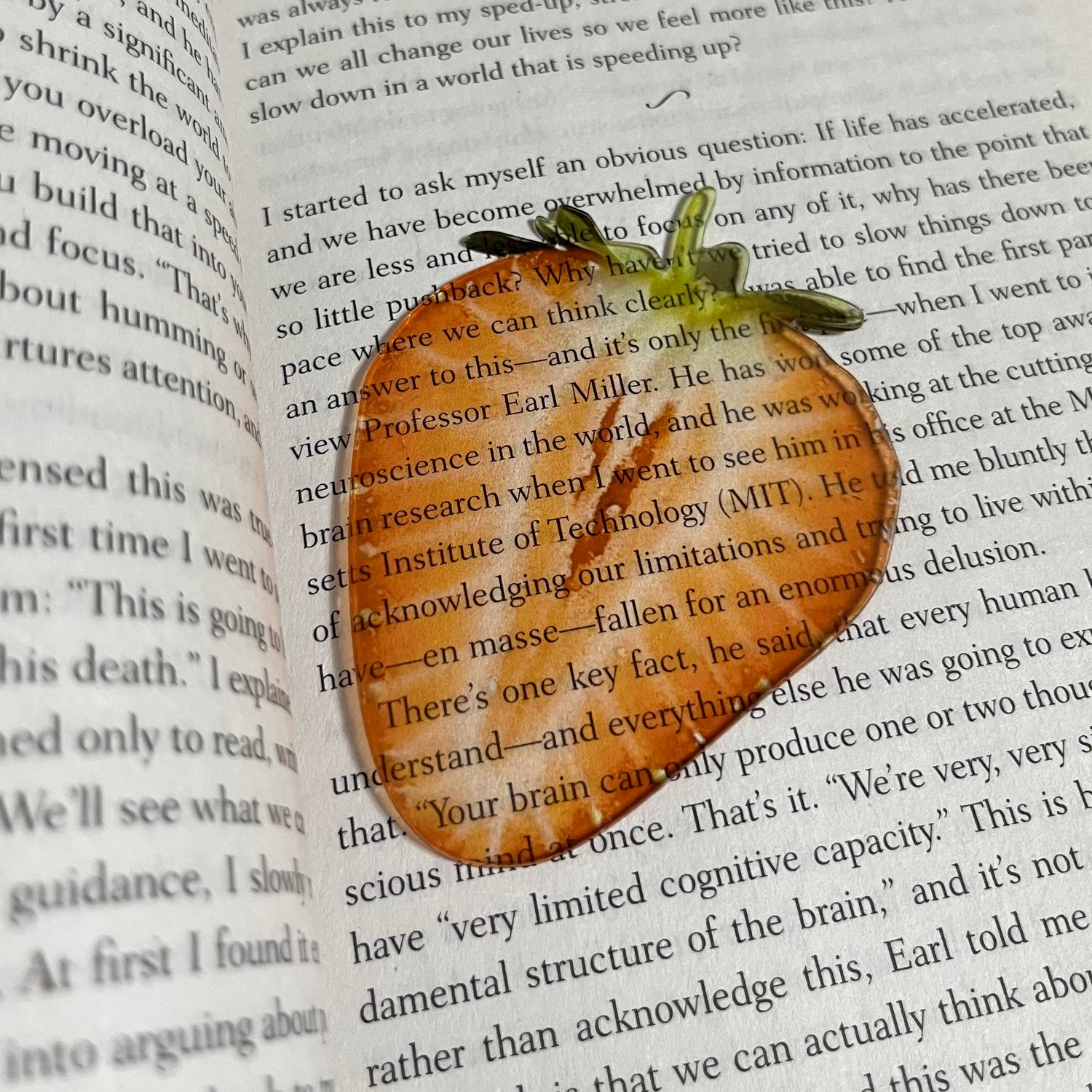 Strawberry Slice Bookmark