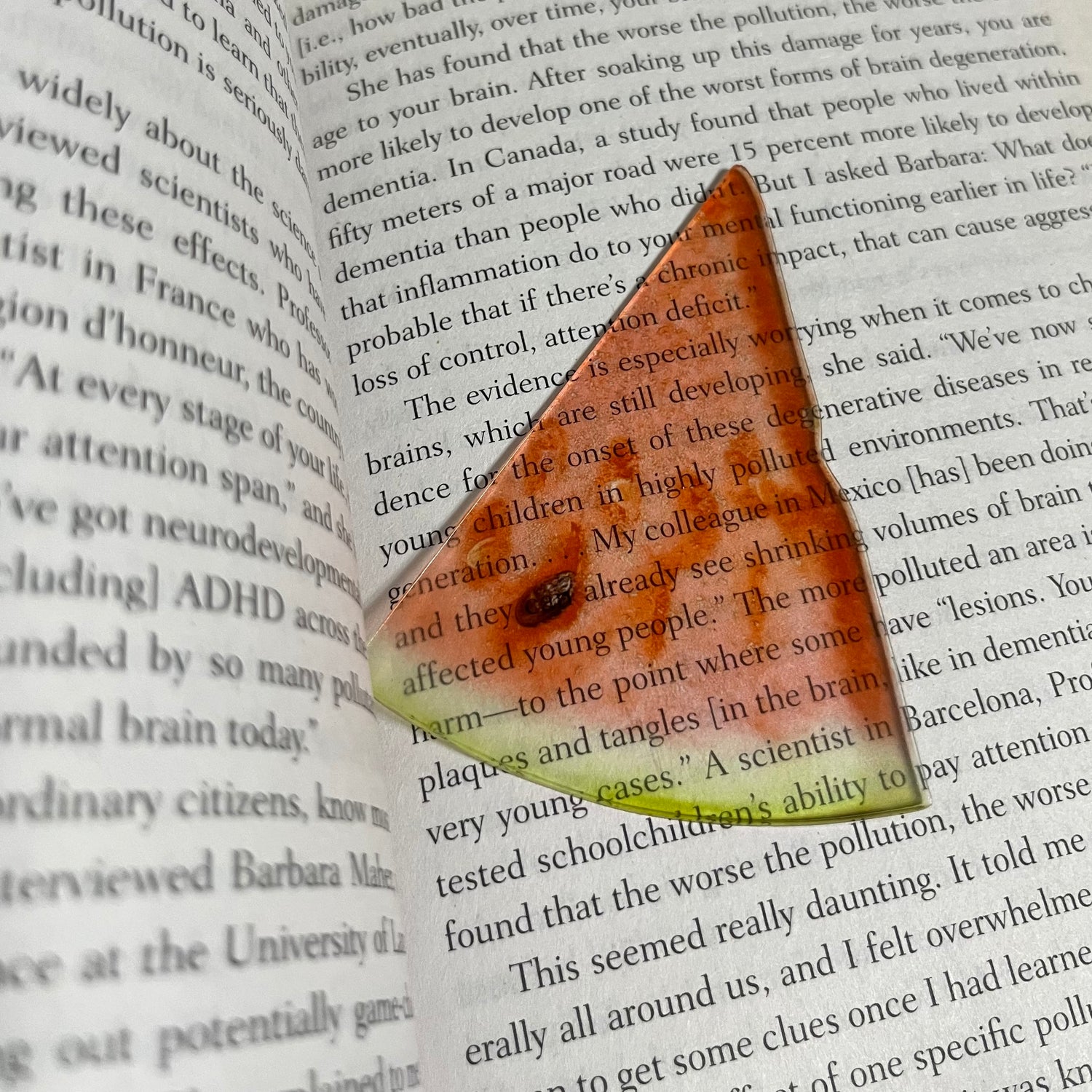Watermelon Bookmark