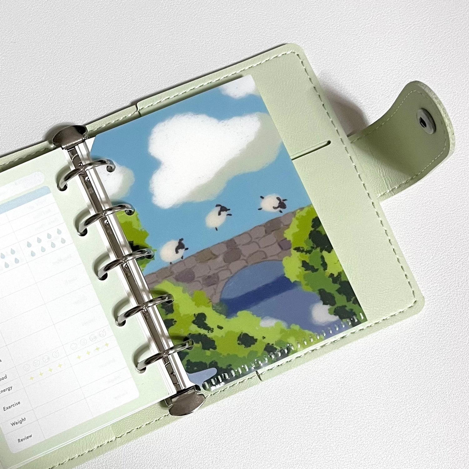 Cloud Bridge Pocket Insert_M5