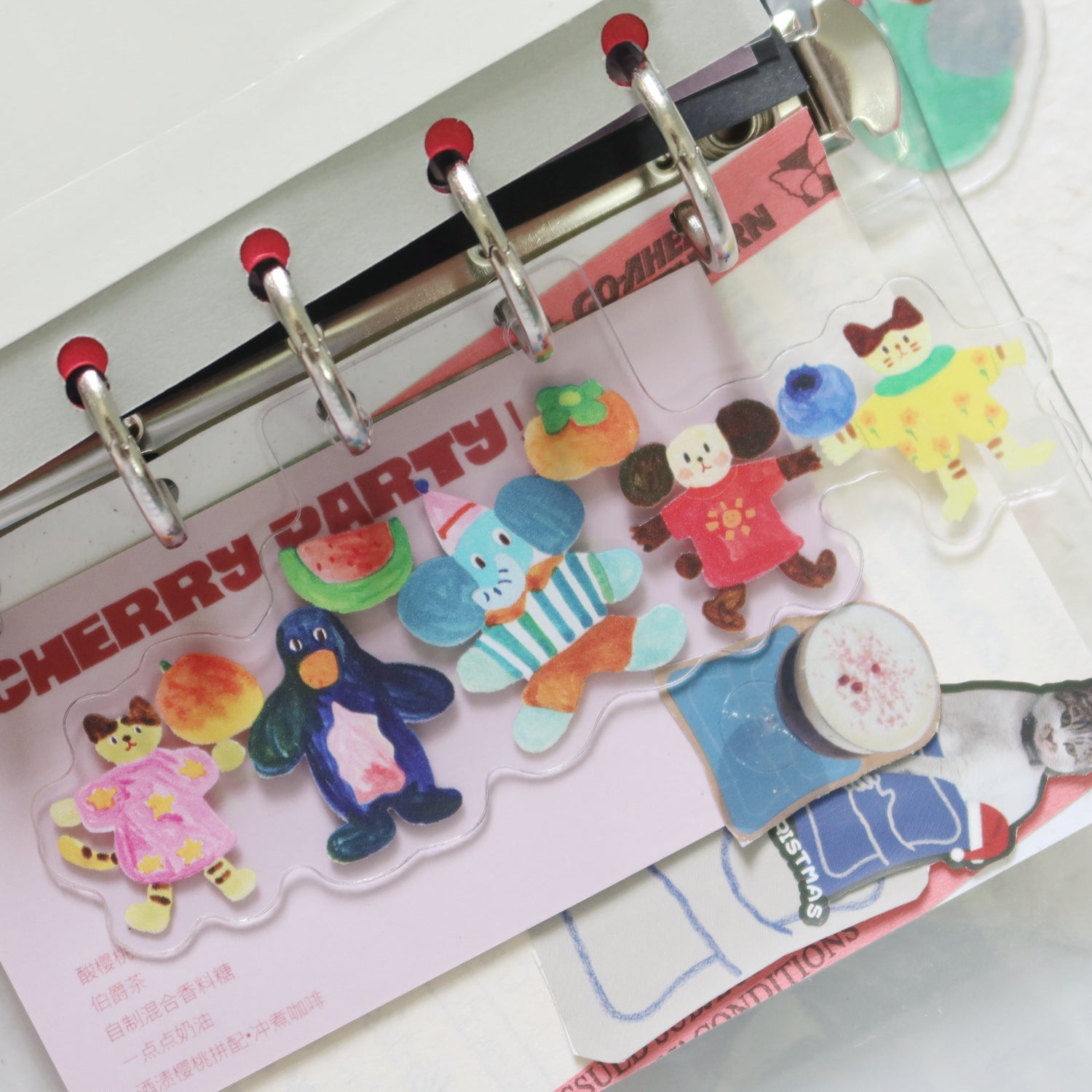 Parade Friends Divider Insert