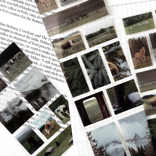 Mountain and pastoral song Washi Tape Sticker